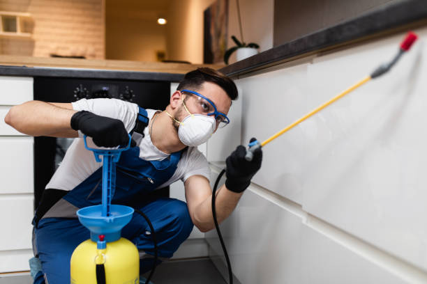 Best Best Pest Control Companies  in Coalfield, TN