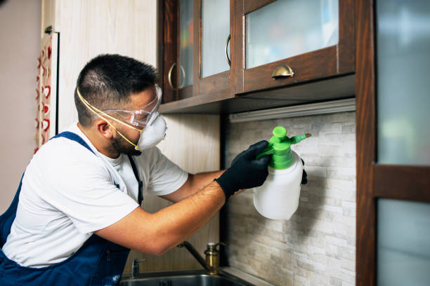Best Termite Control Services  in Coalfield, TN