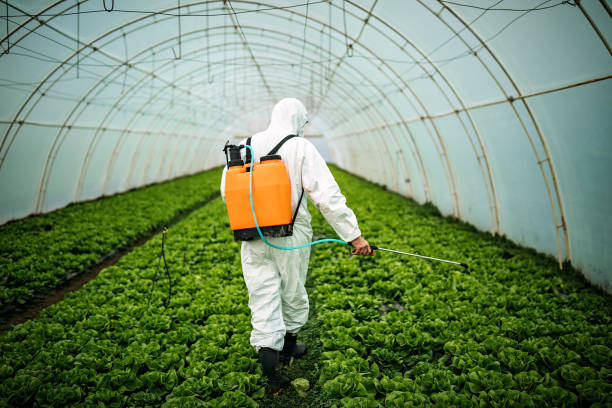 Best Commercial Pest Control Services  in Coalfield, TN