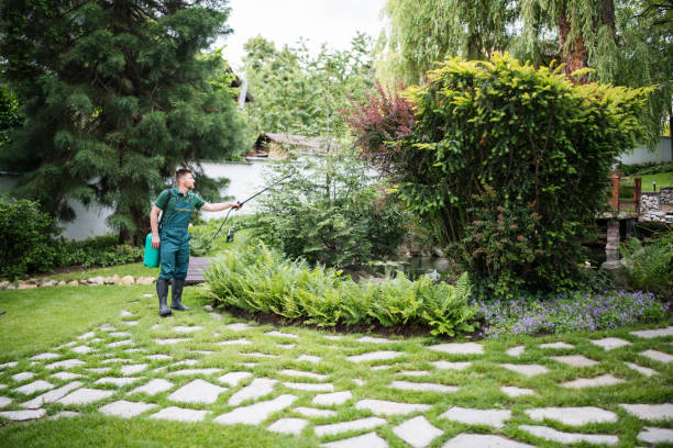 Best Mosquito Control Services  in Coalfield, TN