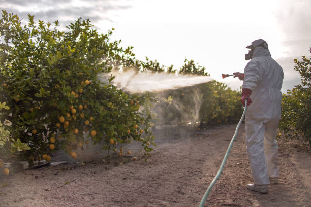 Best Pest Control Cost  in Coalfield, TN