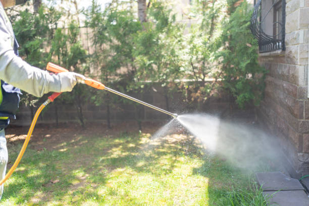 Best Emergency Pest Control  in Coalfield, TN