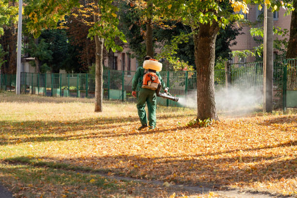 Pest Control for Restaurants in Coalfield, TN