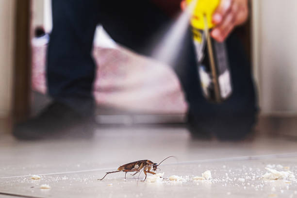 Best Best Pest Control Companies  in Coalfield, TN