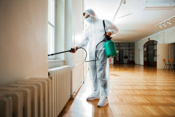 Best Pest Control Near Me  in Coalfield, TN